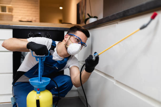 Best Pest Control for Homes  in Arcadia, SC