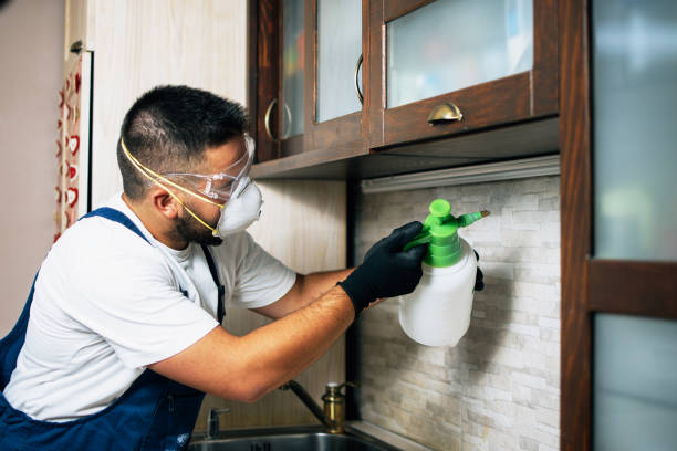 Best Mosquito Control Services  in Arcadia, SC