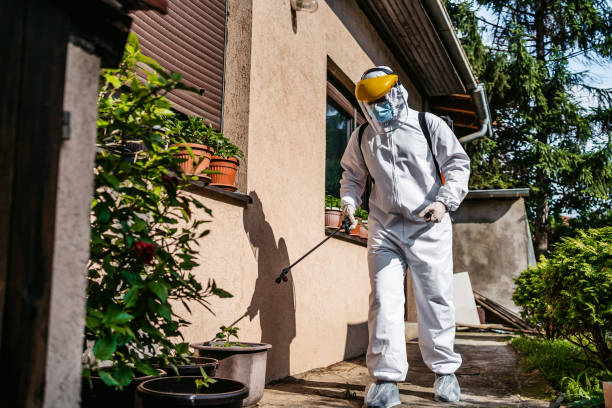 Best Residential Pest Control  in Arcadia, SC