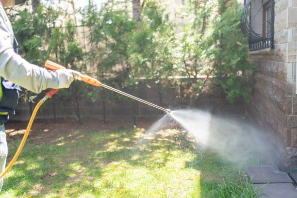 Best Local Pest Control Services  in Arcadia, SC