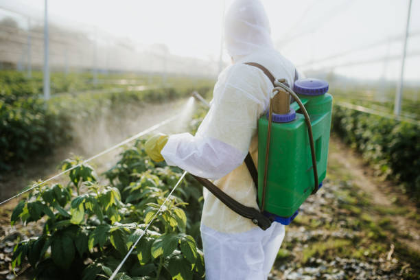 Best Pest Removal Services  in Arcadia, SC
